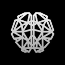 Big Brain Holdings logo