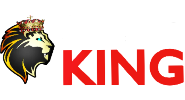 CasinoKing logo