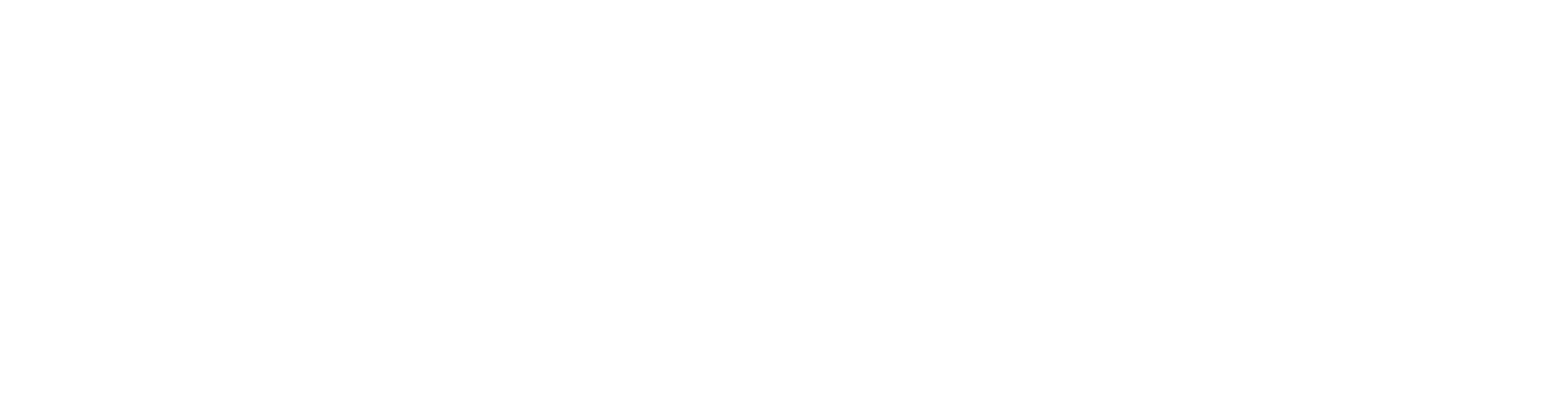 Decurity logo