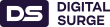 Digital Surge logo
