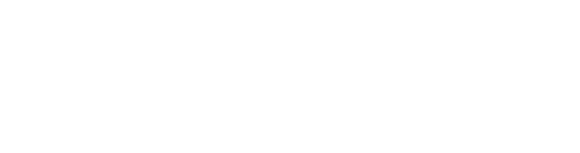 Everest Global logo