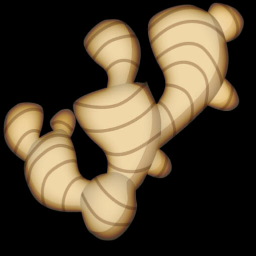 Ginger Security logo