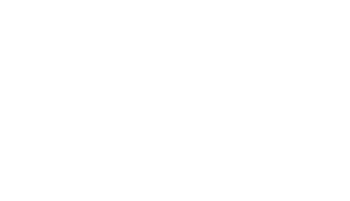 Herzog logo