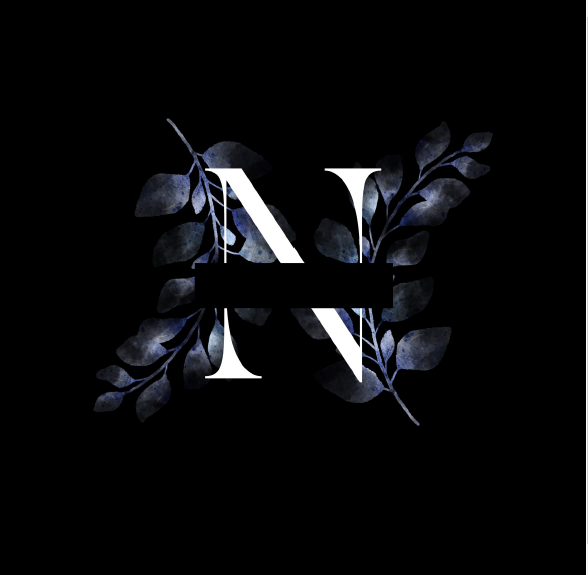 Noctra Labs logo