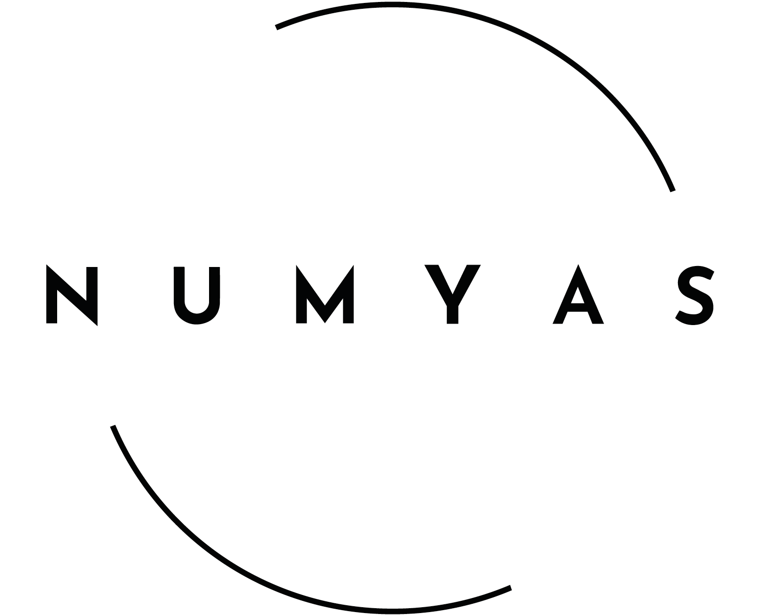 Numyas logo