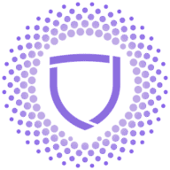 Paladin Blockchain Security logo