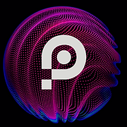 Polyverse AI logo