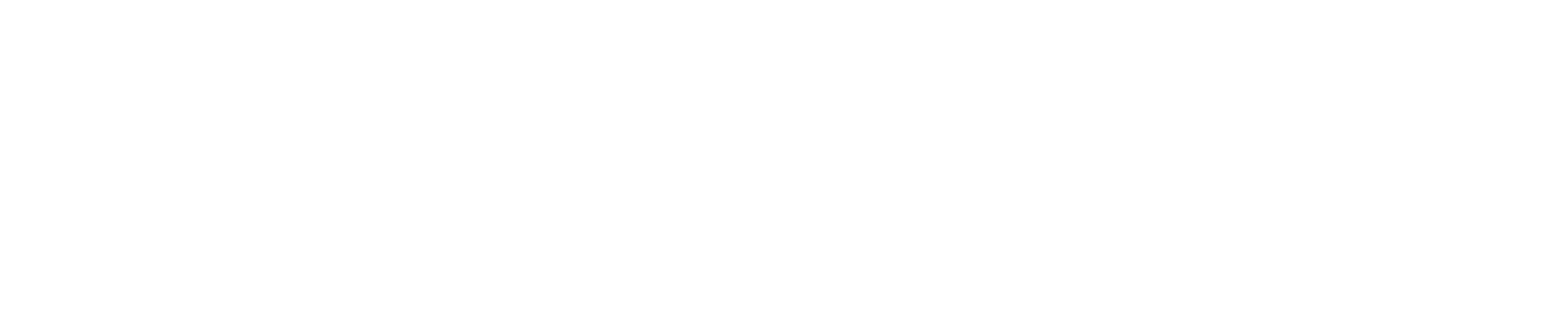 Savvycom logo