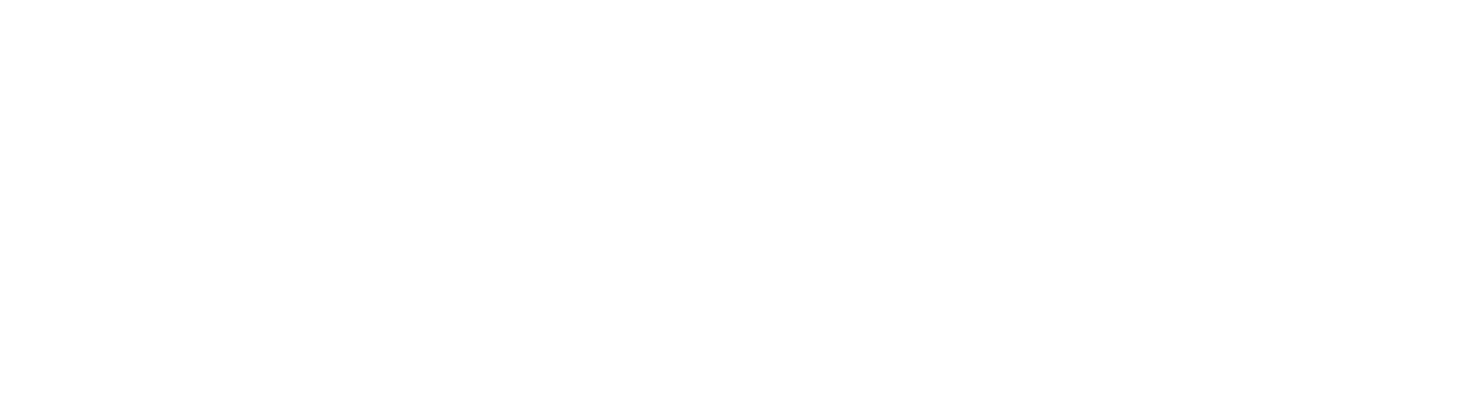 Spark Digital Capital logo