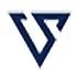 Versus Systems logo