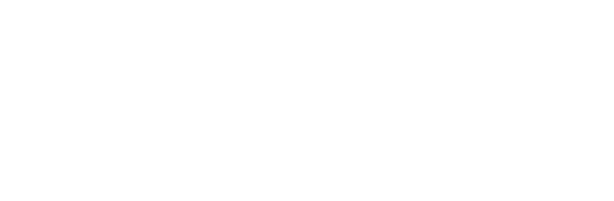 Virtually Human Studio logo